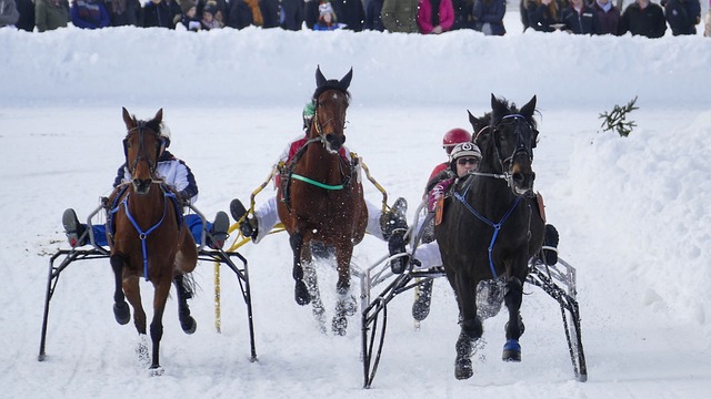 体彩大乐透启动10亿元派奖.
