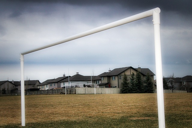 世界女排联赛中国香港站：中国队3：0力挫德国队.